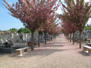 Cimetière communal