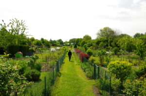 Jardins familliaux