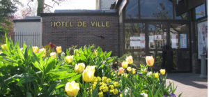 mairie fleurie de tulipes jaunes