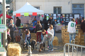 marché des producteurs locaux 2016