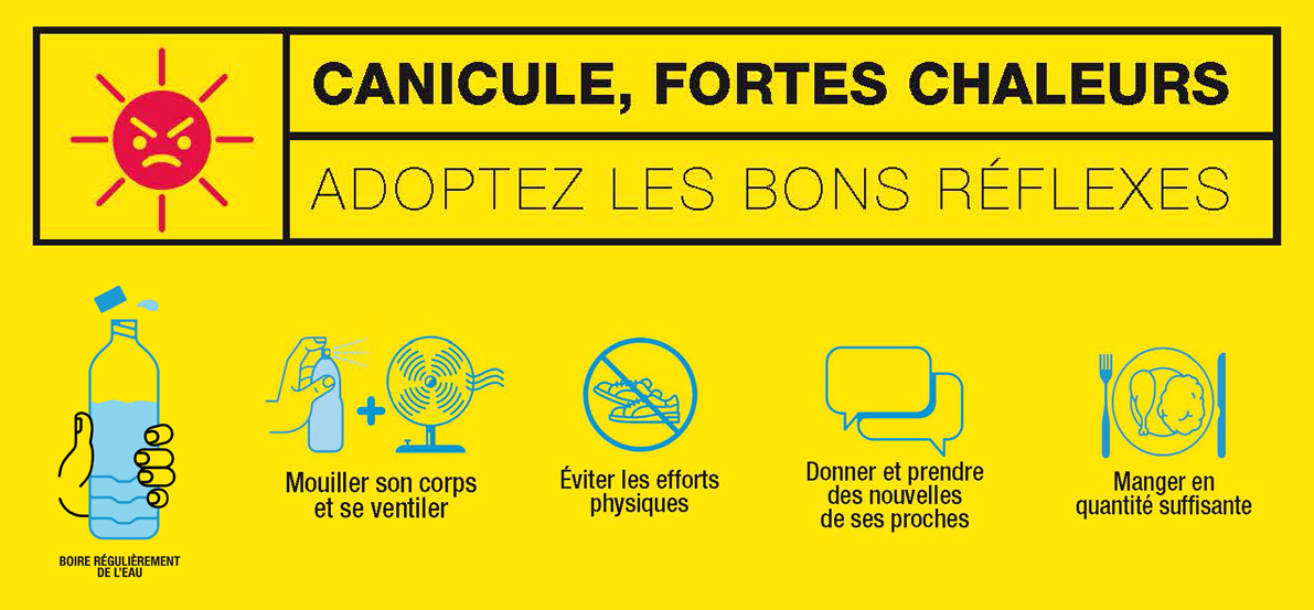 Pratique. Canicule : attention à votre parebrise !