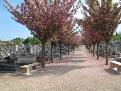 Cimetière communal Cimetière communal