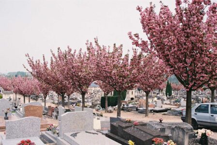 Cimetière communal Cimetière communal