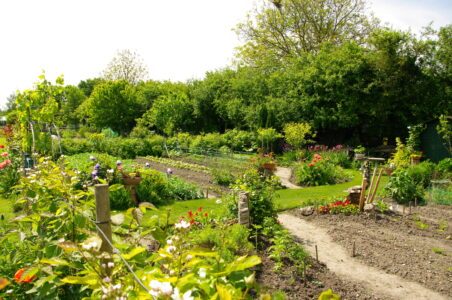 Jardins familliaux Jardins familliaux