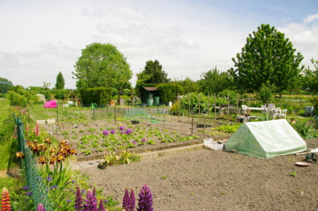 Jardins familliaux Jardins familliaux